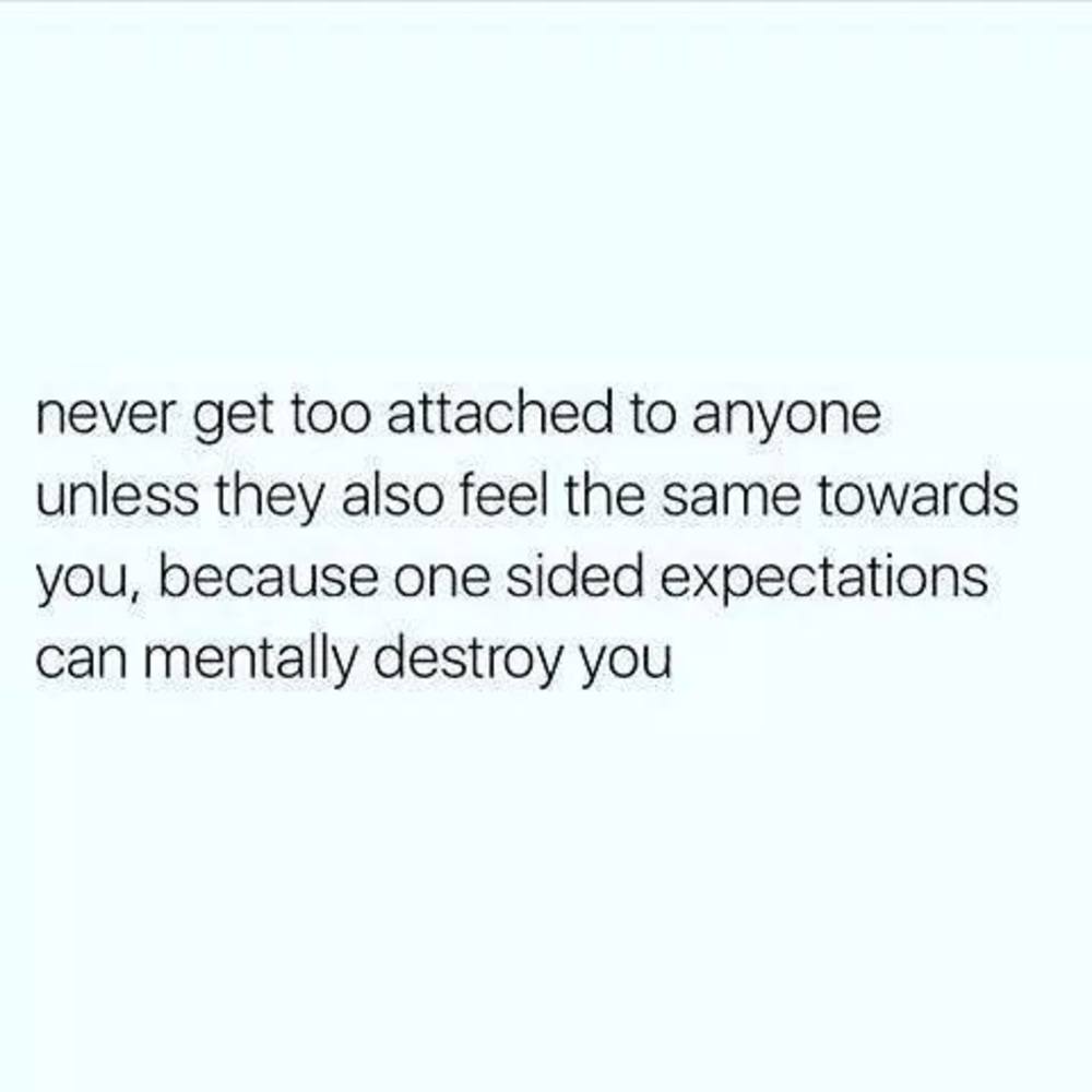 Meet your Posher, Cat